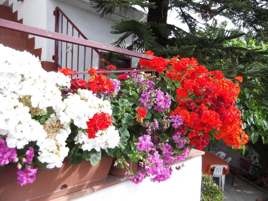 Vila Casavacanzeinsicilia Etna Taormina Piedimonte Etneo Pokoj fotografie