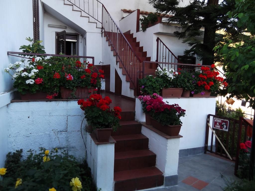 Vila Casavacanzeinsicilia Etna Taormina Piedimonte Etneo Exteriér fotografie